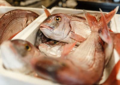 pescados y mariscos primavera