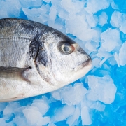 restaurante de pescado en Sevilla